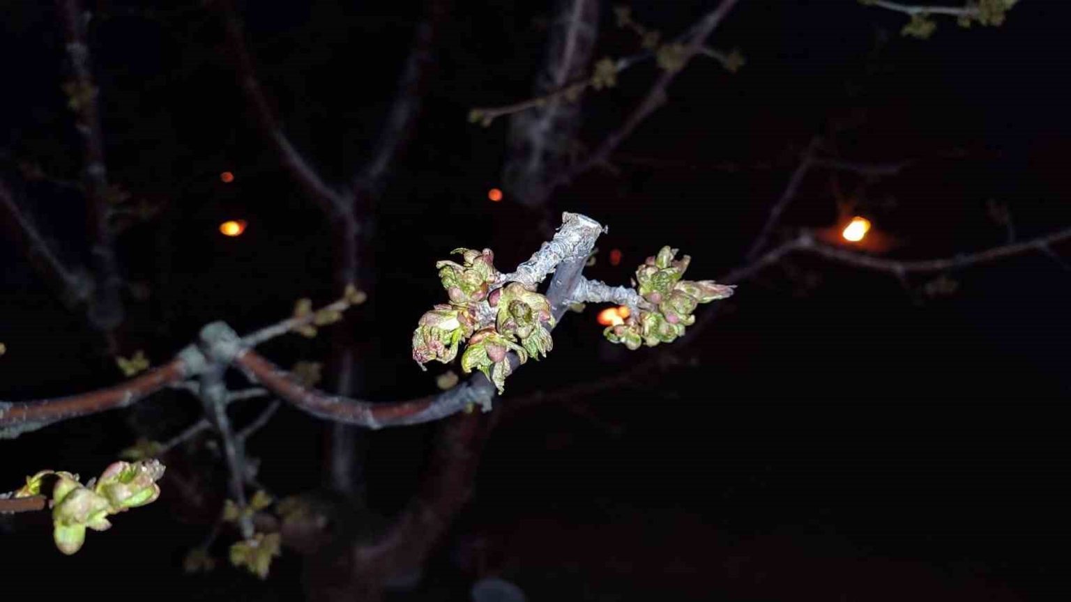 zirai-don-zararina-ugrayan-ciftcilere-destekleme-odemesi-yapilacak