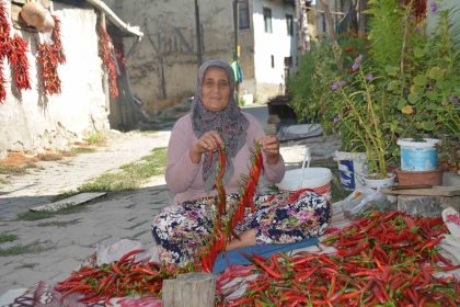 160-yildir-ayni-tohumdan-aci-biber-uretiyorlar