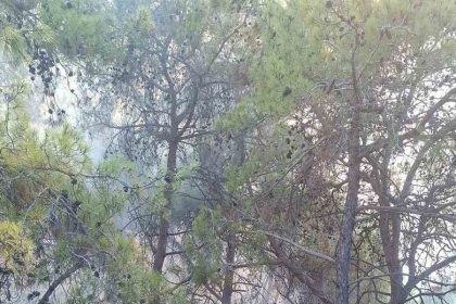 adanada-cikan-orman-yanginlari-sonduruldu