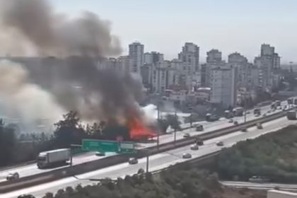 adanada-otoyol-kenarinda-otluk-alan-yangini