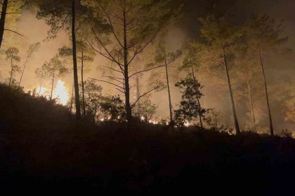 alanyada-ormanlik-alandaki-yangin