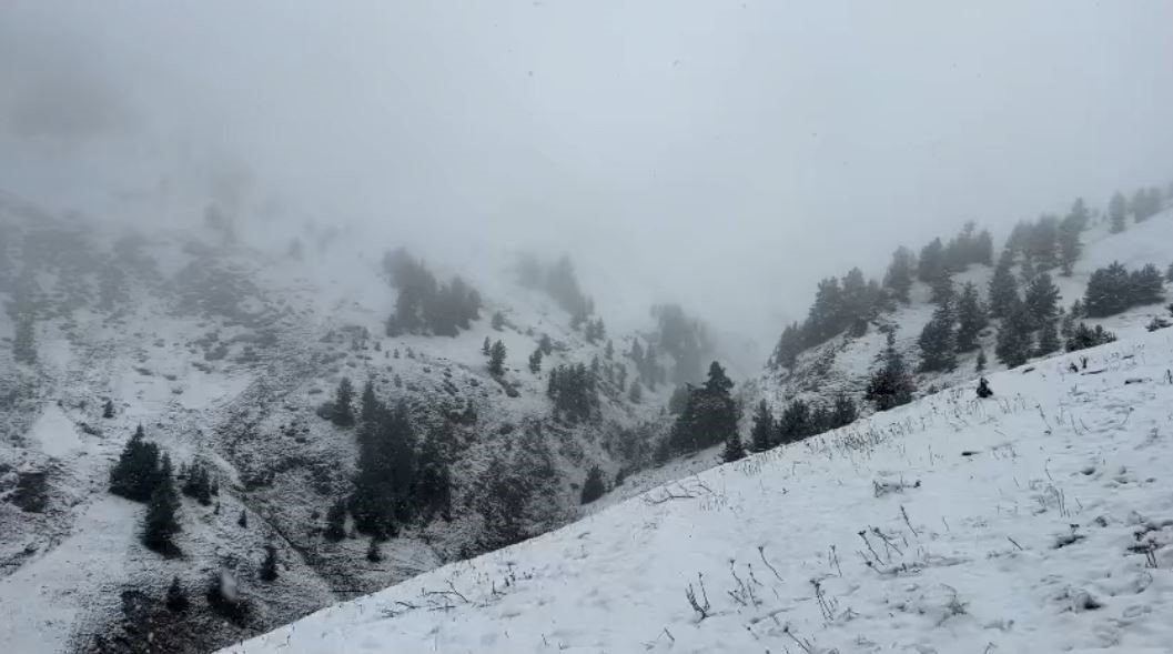 artvinde-yaylalar-kar-altinda