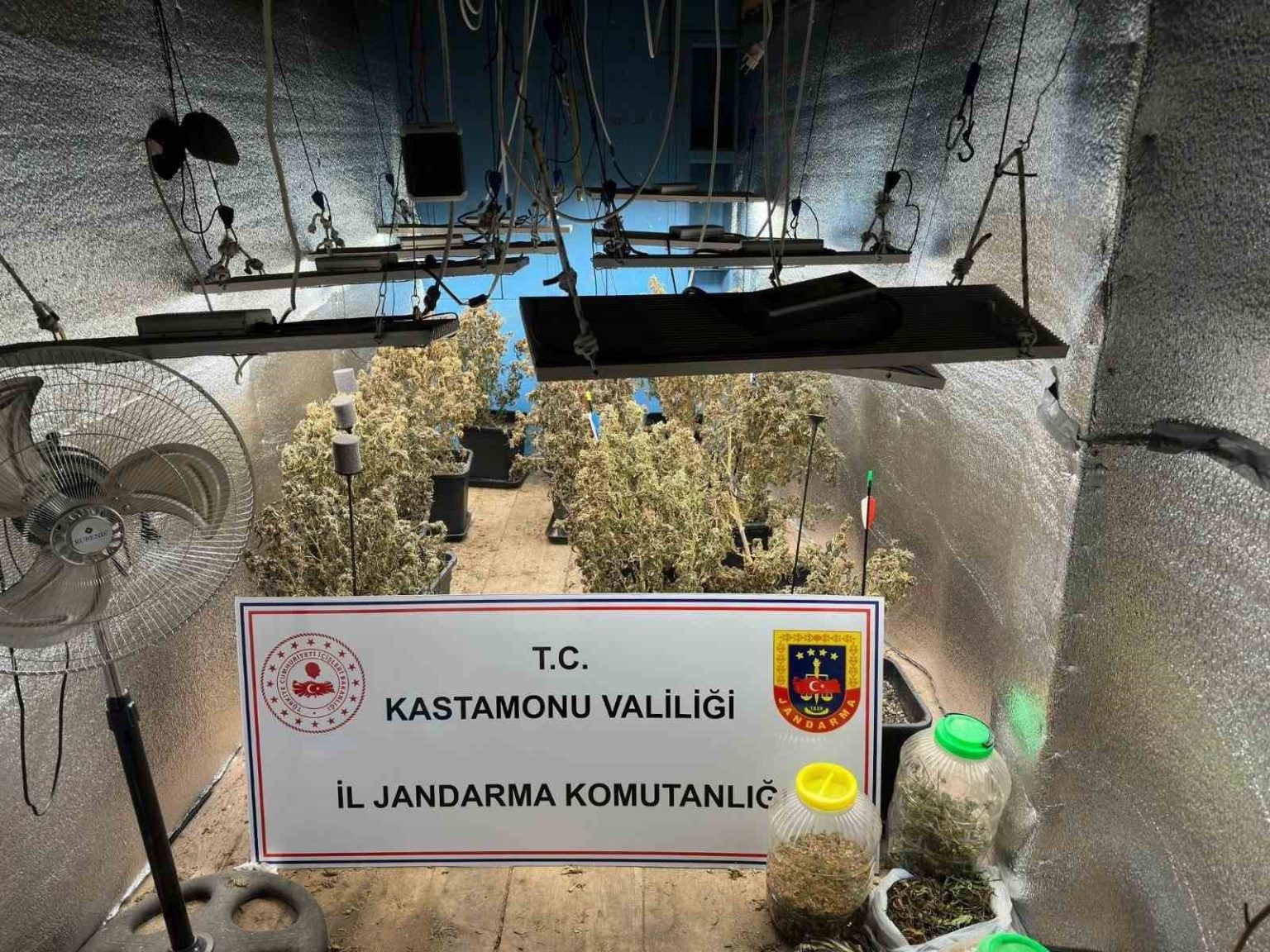 ciftlik-evlerini-kenevir-yetistiren-saniklar-tahliye-edildi