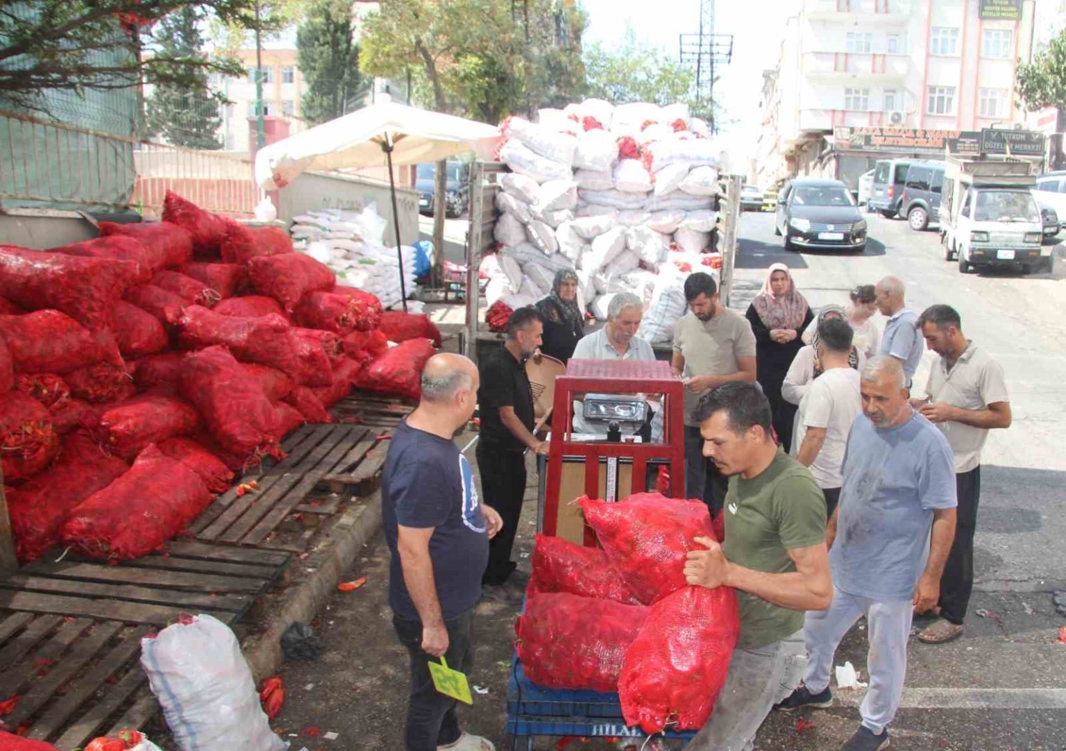 gaziantepte-salca-cekim-isletmelerinden-randevulu-hizmet