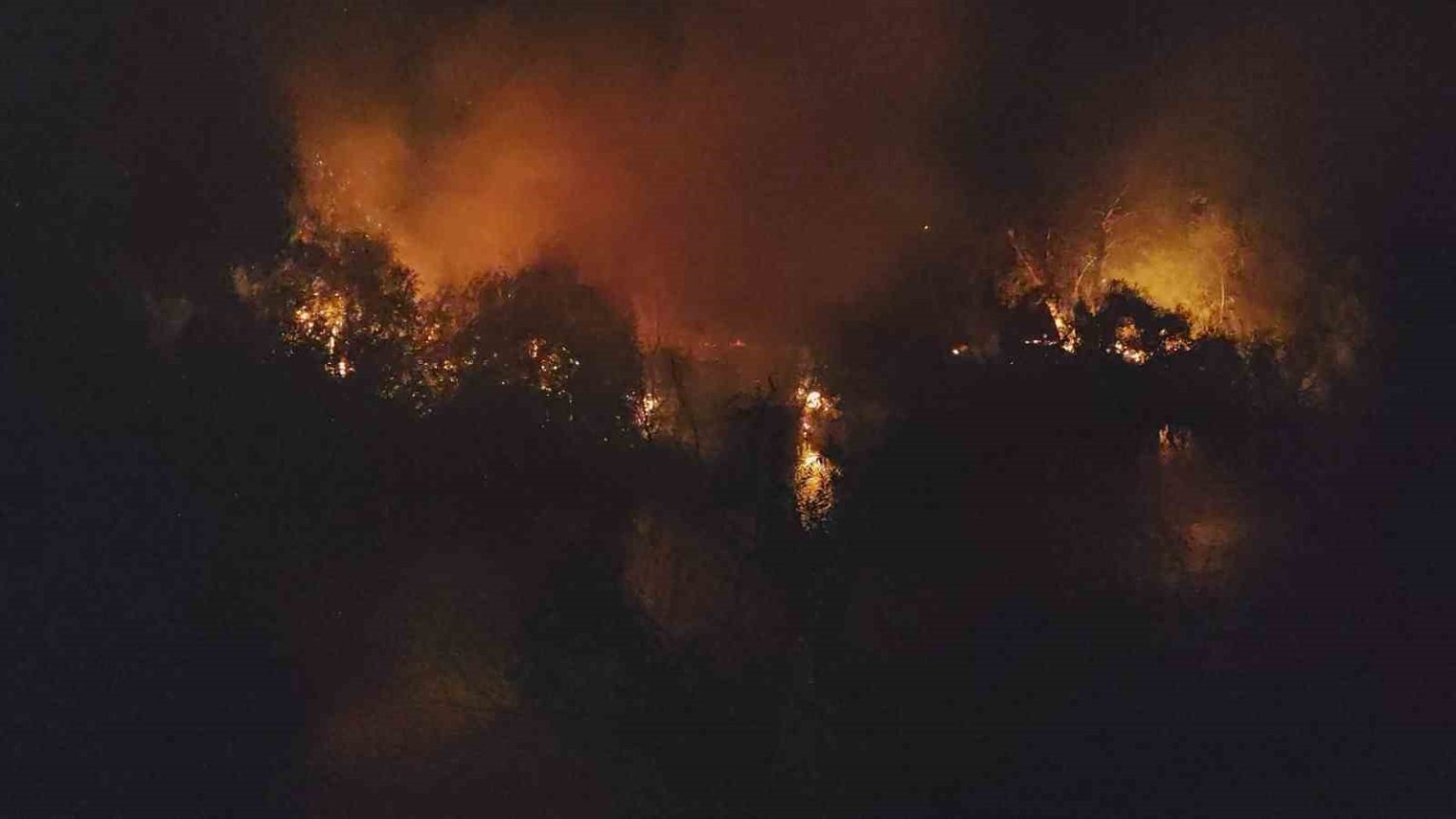 manavgatta-irmak-kenarindaki-yangin-korkuttu