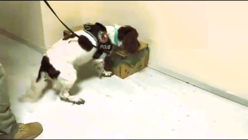 otobusle-getirdigi-45-kilo-uyusturucuyu-satamadan-yakalandi