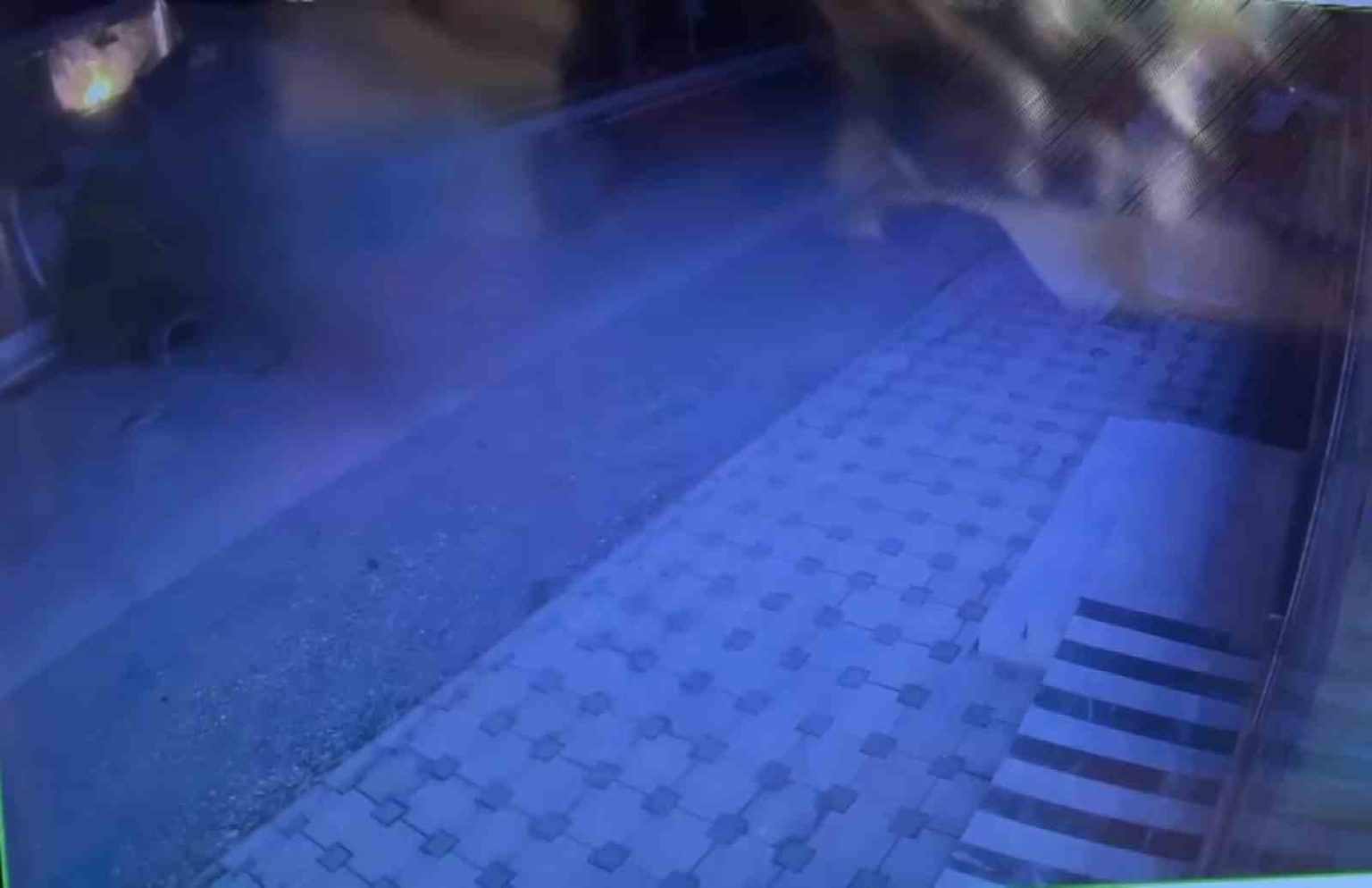 otomobil-agaca-carpti-3-yarali