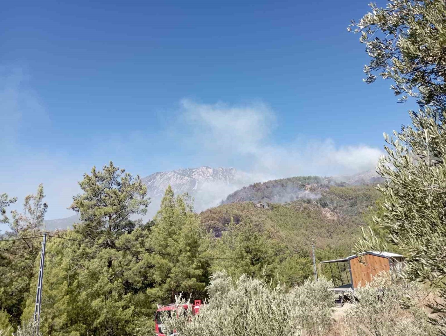 alanyada-ormanlik-alan-yanginlari-kontrol-altina-alinmaya-calisiliyor