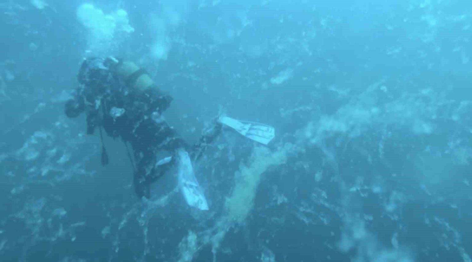 canakkalede-musilaj-alarmi