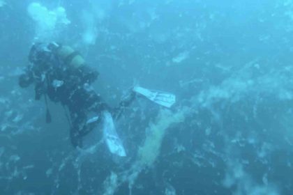 canakkalede-musilaj-alarmi