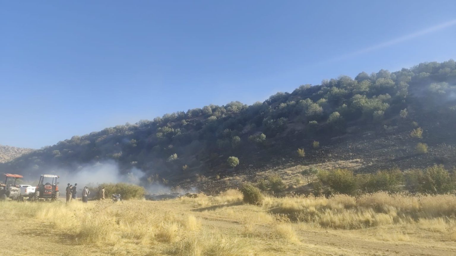 diyarbakirda-aniz-yangini-ormanlik-alana-sicradi