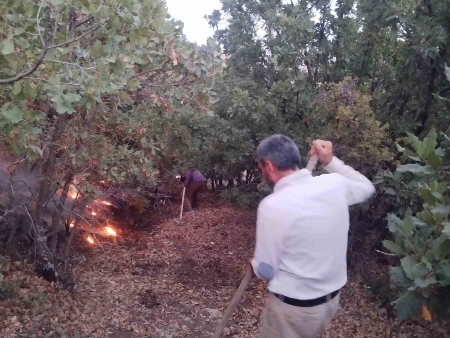 elazigda-agaclik-alanda-yangin