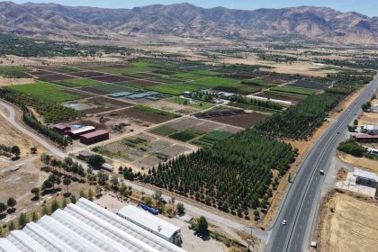 elazigda-uretilen-milyonlarca-fidan-ulkeye-nefes-oluyor