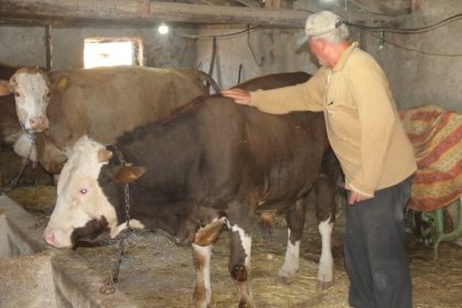 emekli-olan-elektrik-muhendisi-huzuru-koyde-buldu