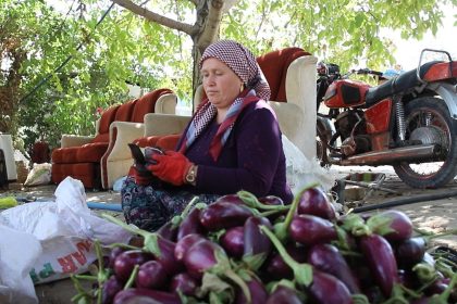 gaziantepli-kadinlarin-kurutmalik-mesaisi-devam-ediyor