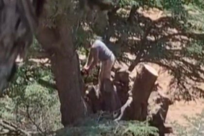kahramanmarasta-ormanlik-alanda-agac-kesen-2-kisi-yakalandi