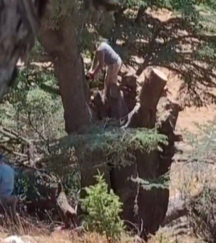 kahramanmarasta-ormanlik-alanda-agac-kesen-2-kisi-yakalandi