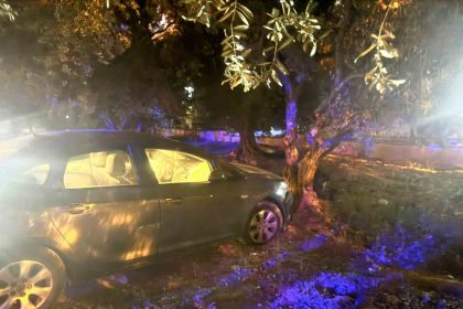 kontrolden-cikan-otomobil-zeytin-bahcesine-girdi-1-yarali