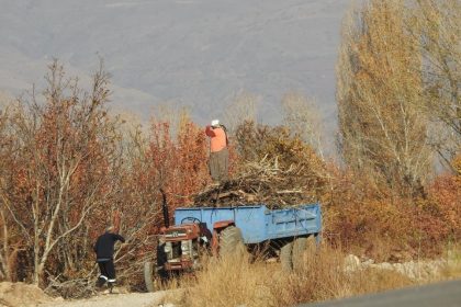 koylerde-kislik-odun-hazirligi