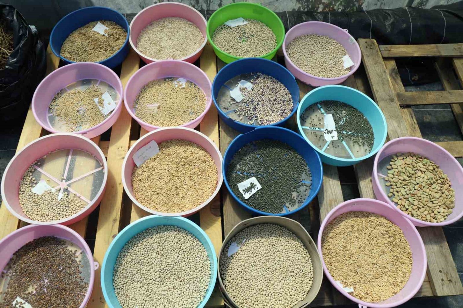 mugla-buyuksehir-2026-yilinda-4-milyon-ata-tohumu-dagitimi-hedefliyor