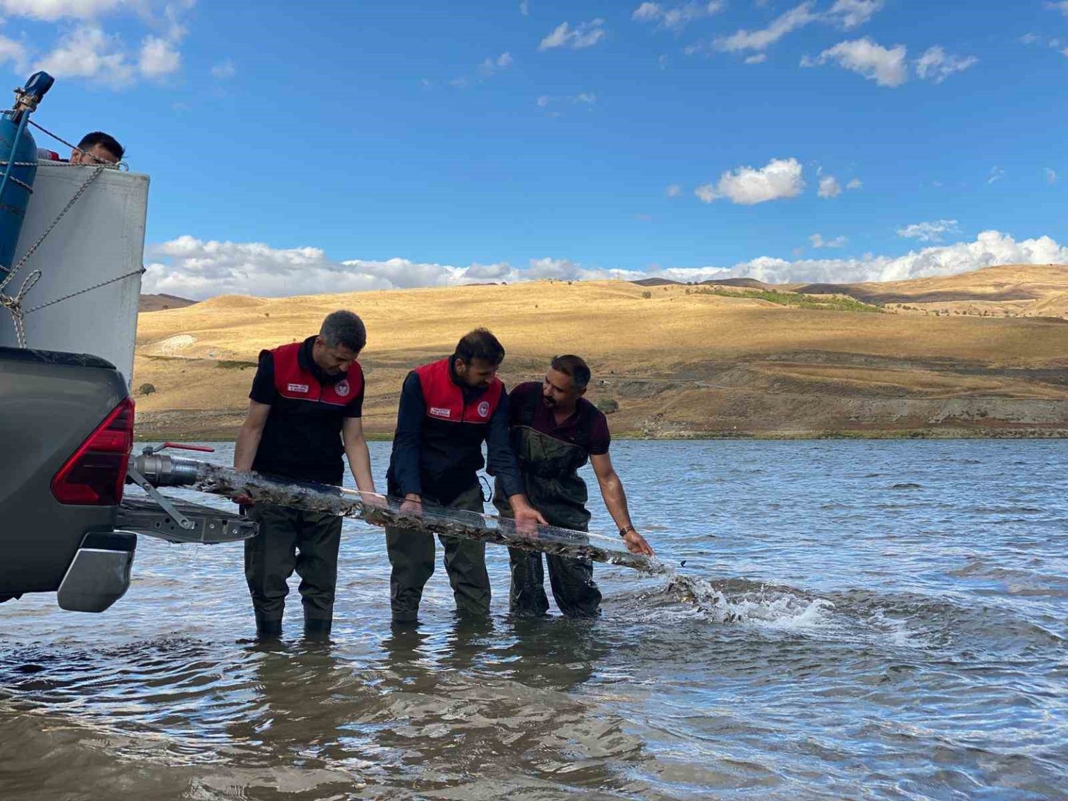 musta-golet-ve-barajlara-1-milyon-sazan-yavrusu-birakildi