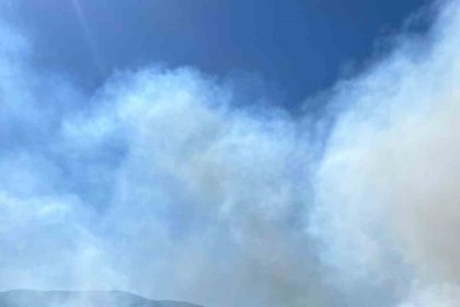 sindirgida-orman-yangini