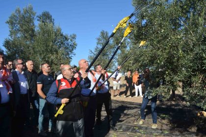 yilin-ilk-zeytinyagi-uretimi-yapildi