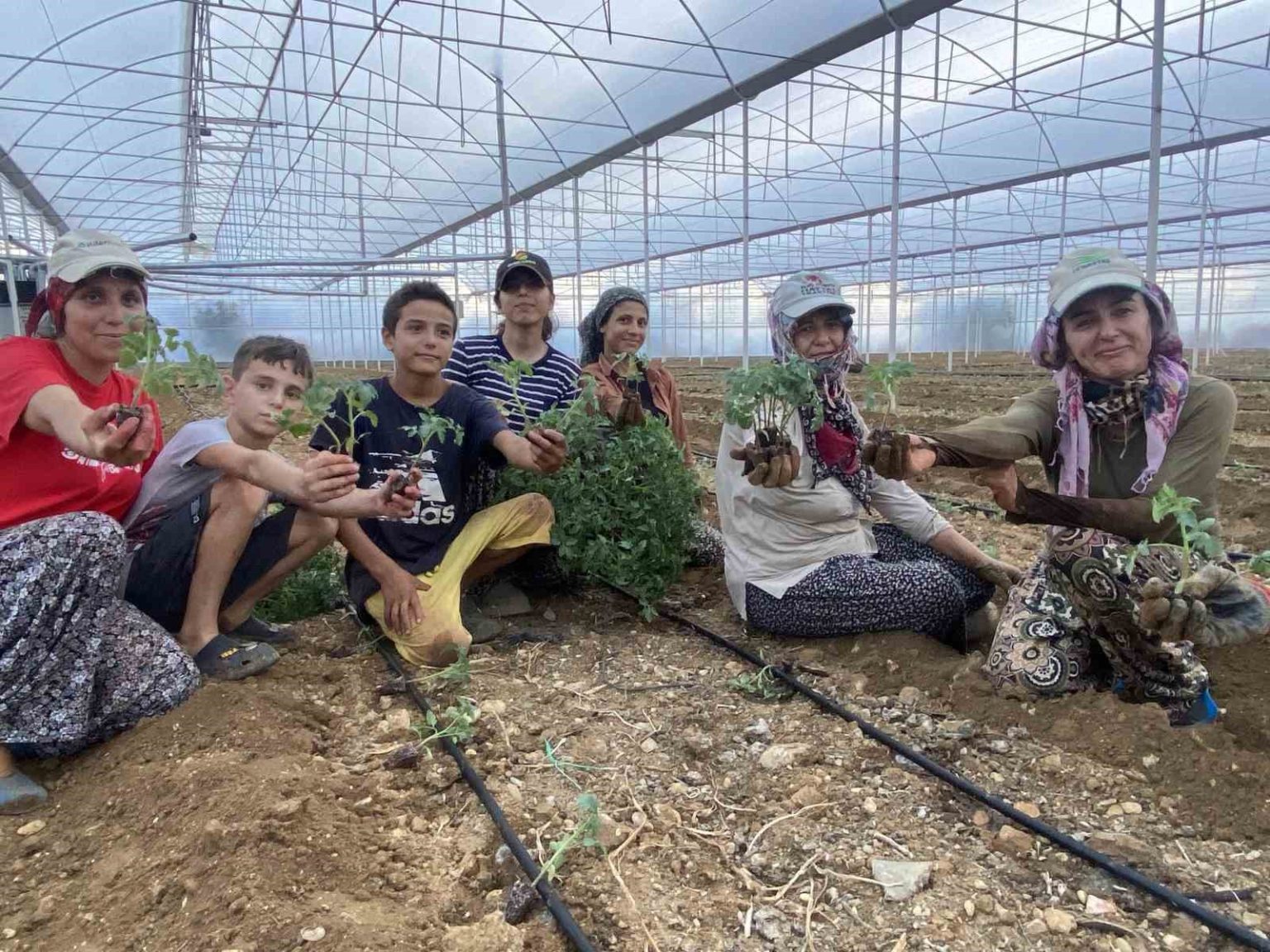 antalyada-guzluk-fide-dikimleri-basladi