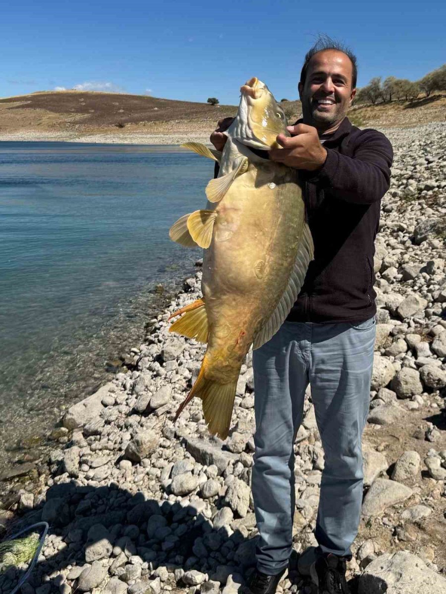 elazigda-21-kiloluk-dev-sazan-avlandi