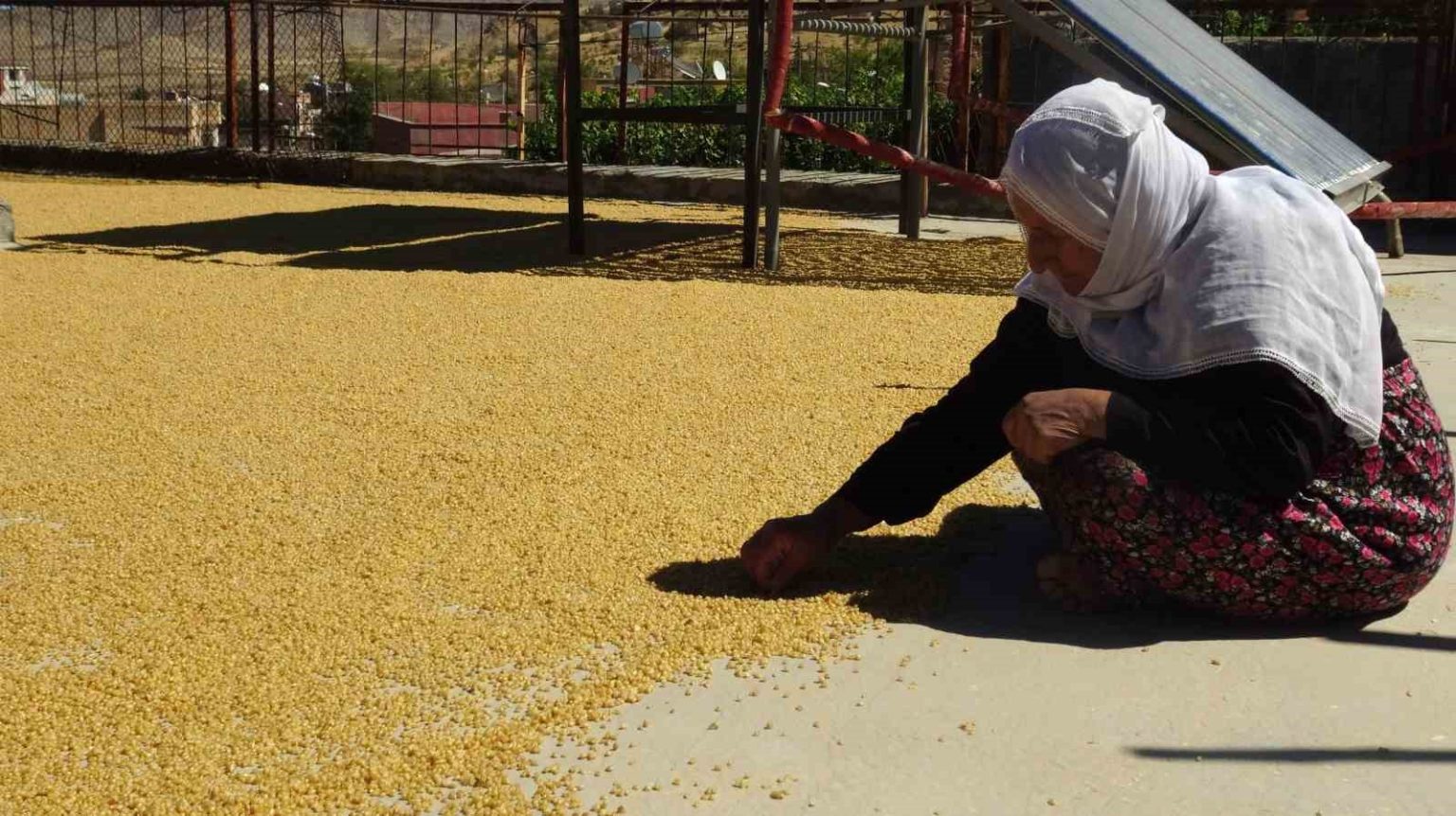 gercuste-yuzyillardir-devam-eden-bulgur-kaynatma-gelenegi-devam-ediyor