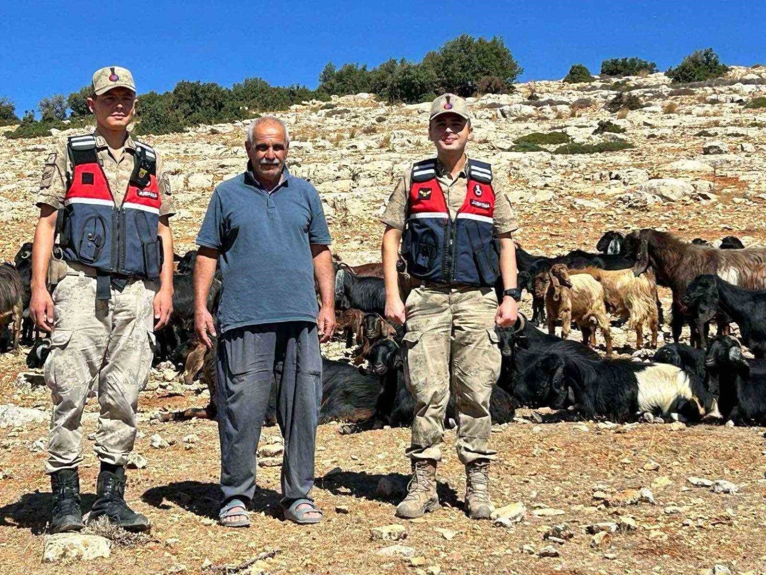 kiliste-kaybolan-100-kucukbas-hayvan-bulundu