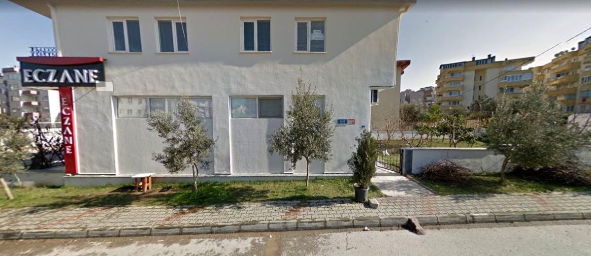 mudanyada-kamuya-ait-zeytin-agaclari-ve-kaldirim-yok-oldu