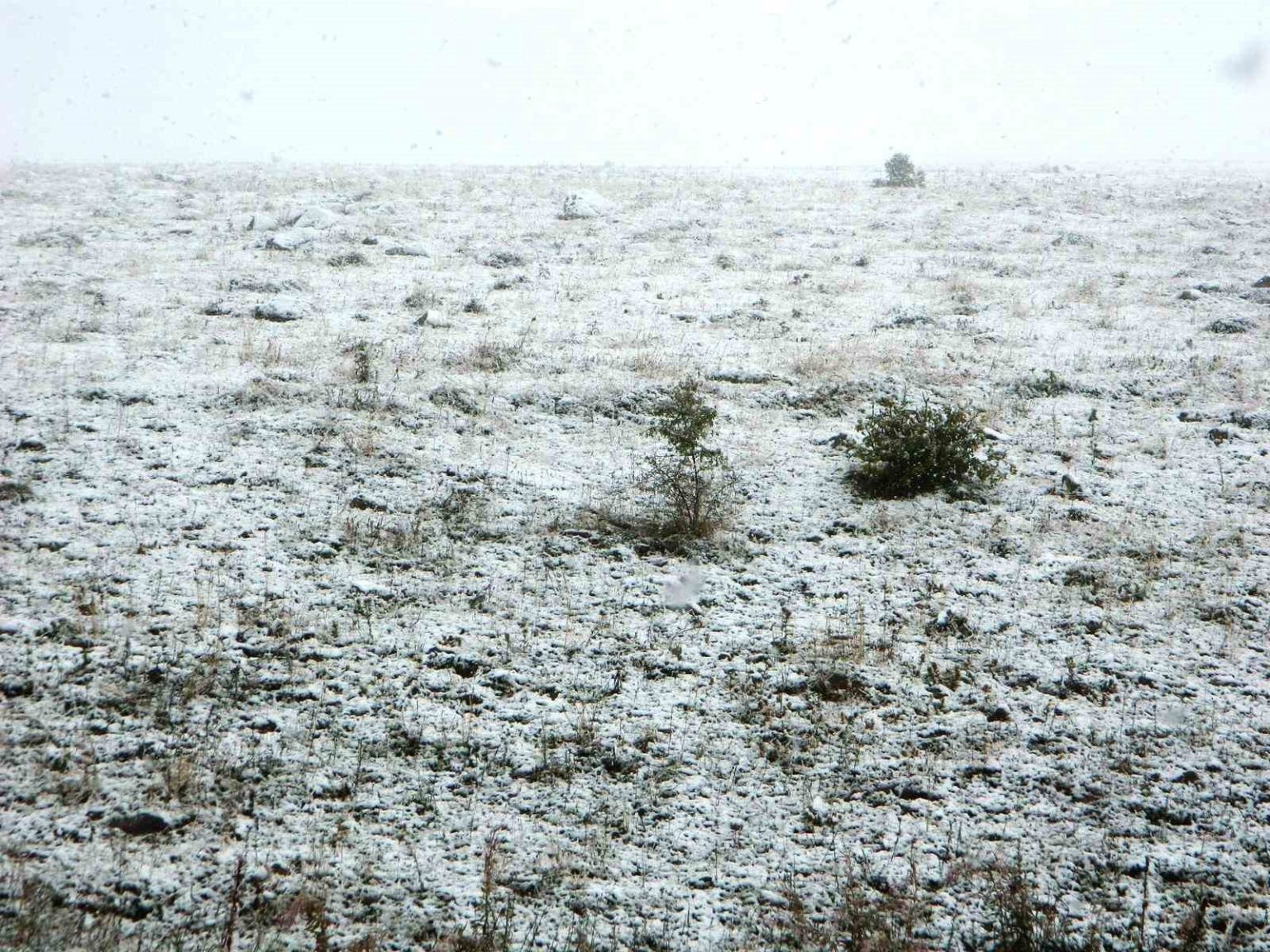 posofta-kar-yagisi