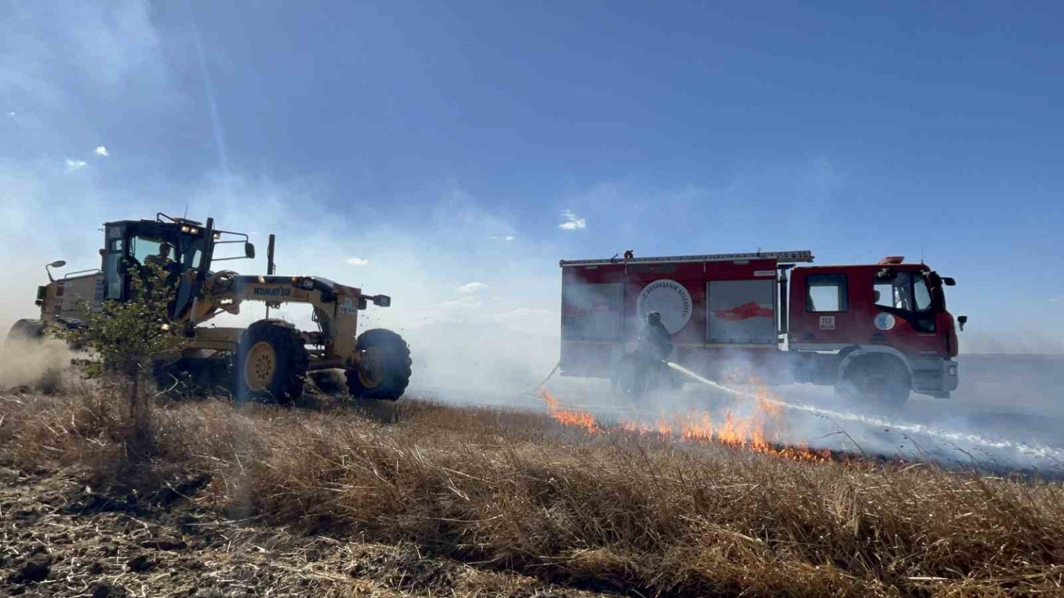 tekirdagda-500-donum-aniz-kule-dondu