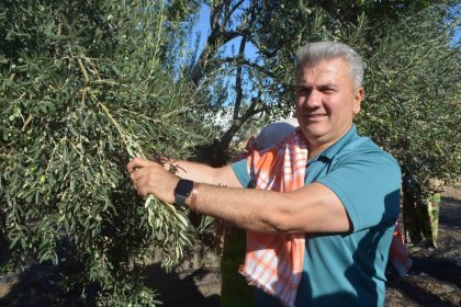 zeytinyaginda-ab-tescili-icin-cabalar-suruyor