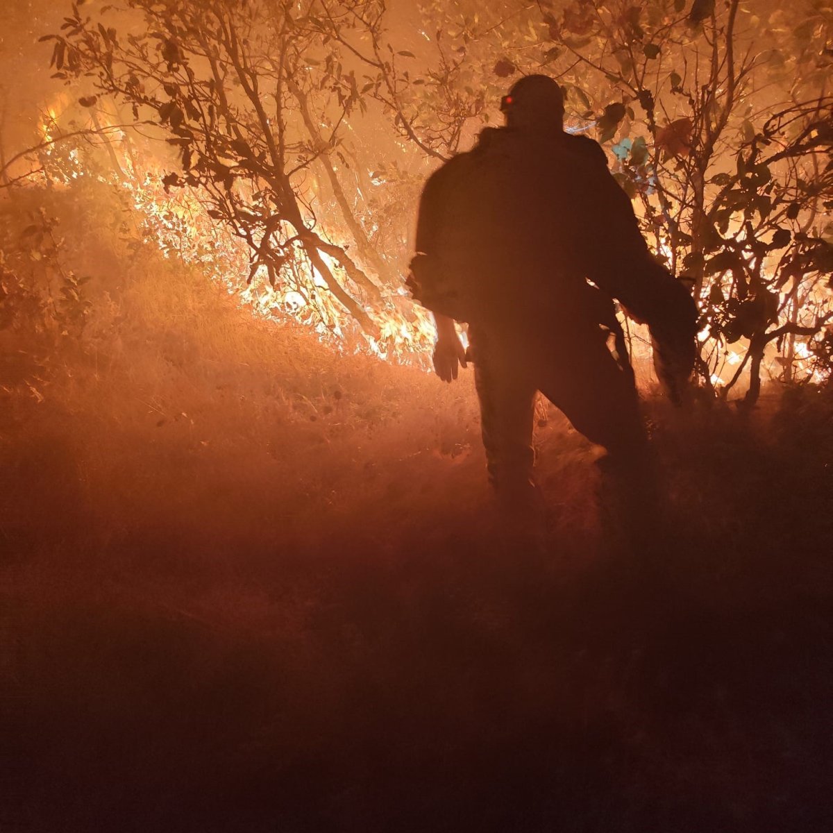 diyarbakirda-orman-yangini-havadan-ve-karadan-mudahale-suruyor