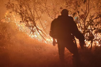 diyarbakirdaki-orman-yangini-sonduruldu