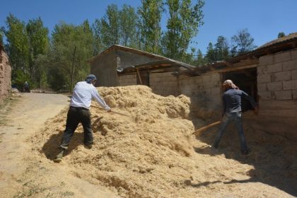 erzincanda-ciftcinin-kis-hazirligi-suruyor