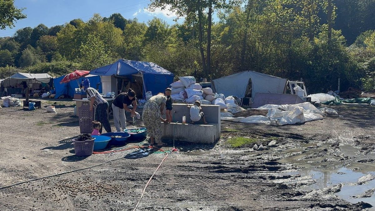 koy-koy-dolasip-bos-findik-avina-cikiyorlar