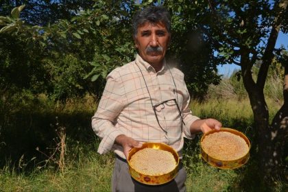malatyada-bal-hasadi-basladi