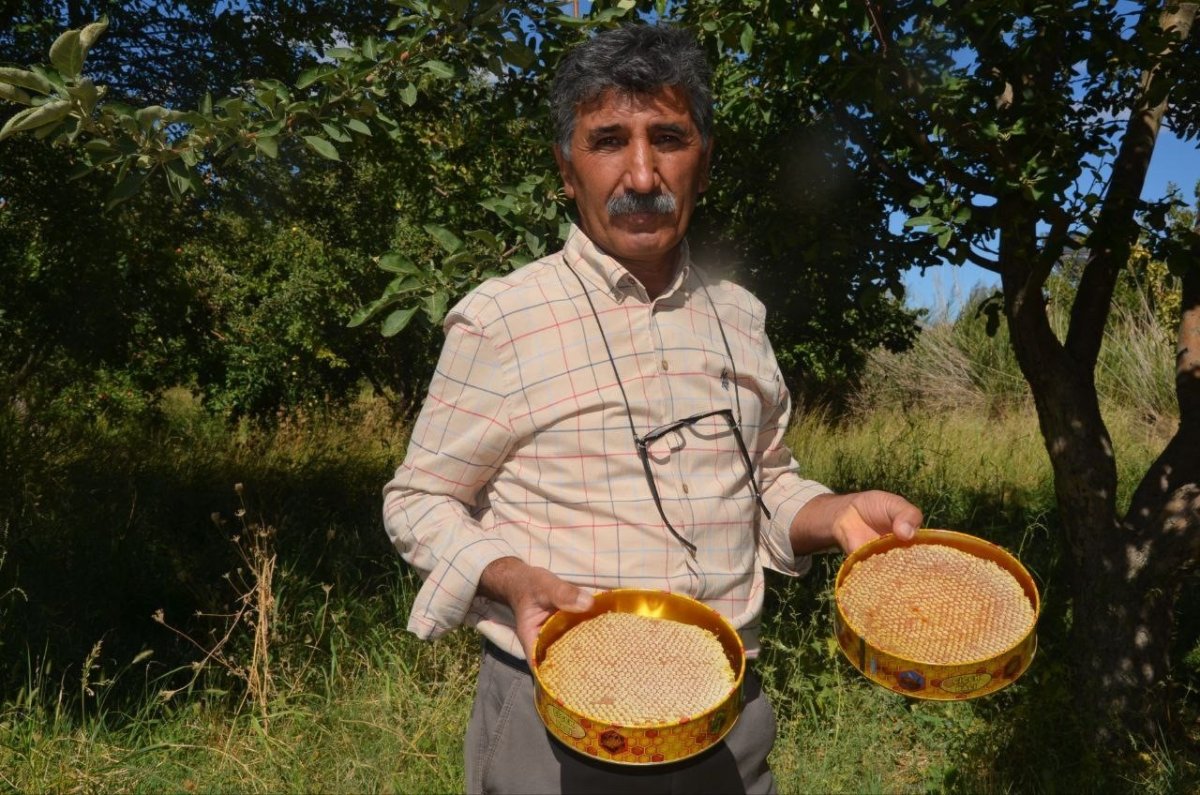 malatyada-bal-hasadi-basladi