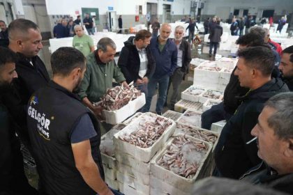 balik-mezadinda-hareketlilik-kasalar-dolusu-baliklar-kapisildi