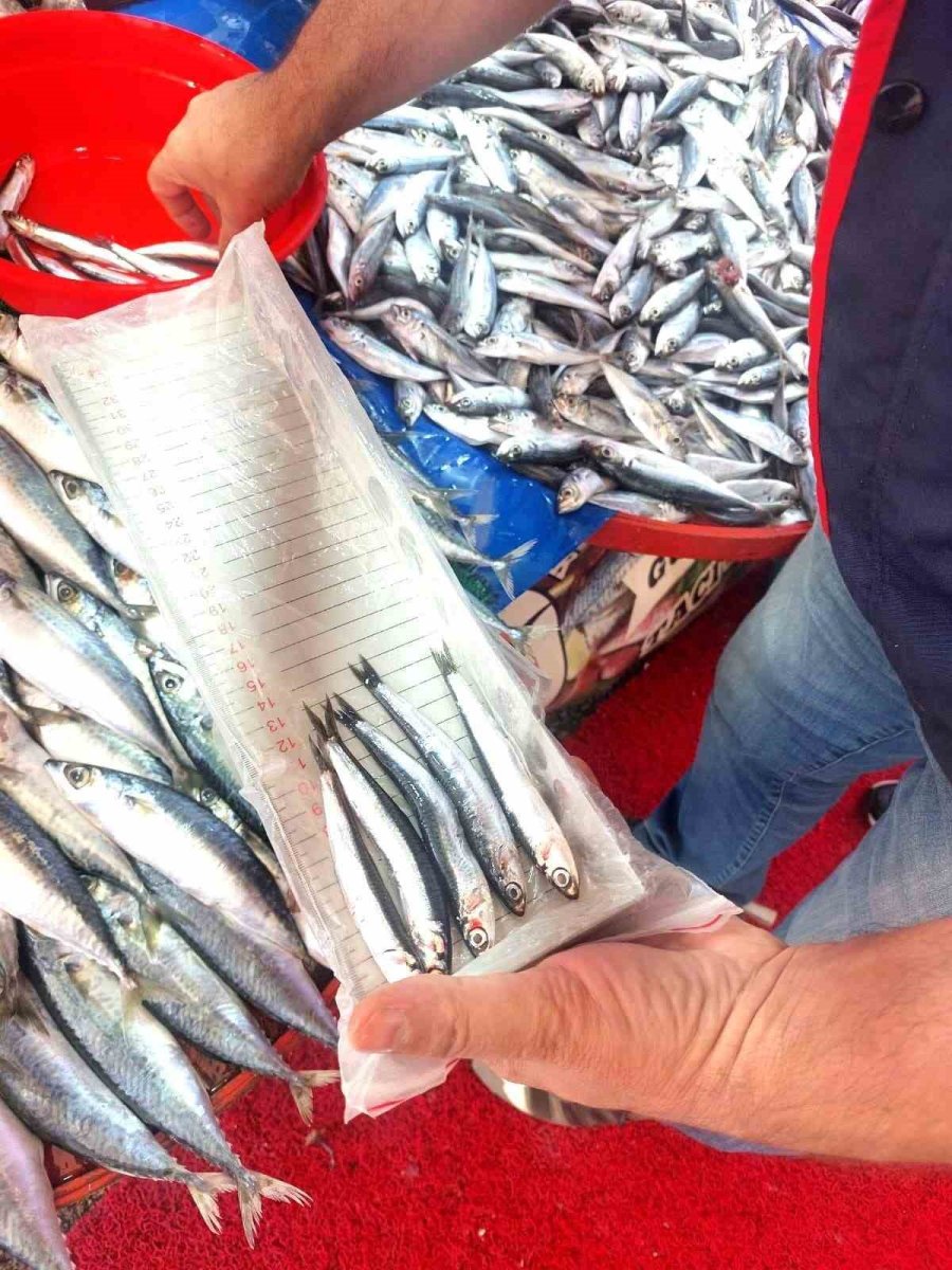 balikci-esnafina-yonelik-denetim