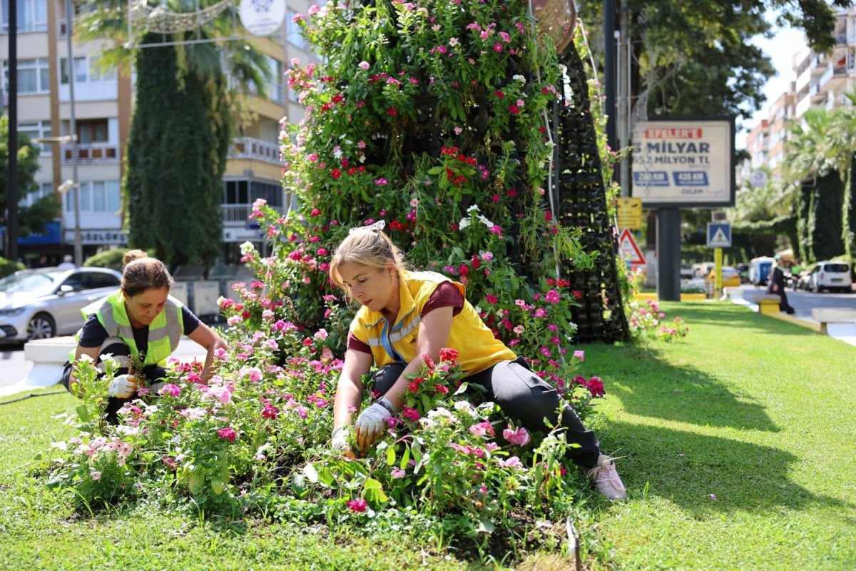baskan-cercioglu-kadinlarin-emegiyle-aydin-cicek-aciyor
