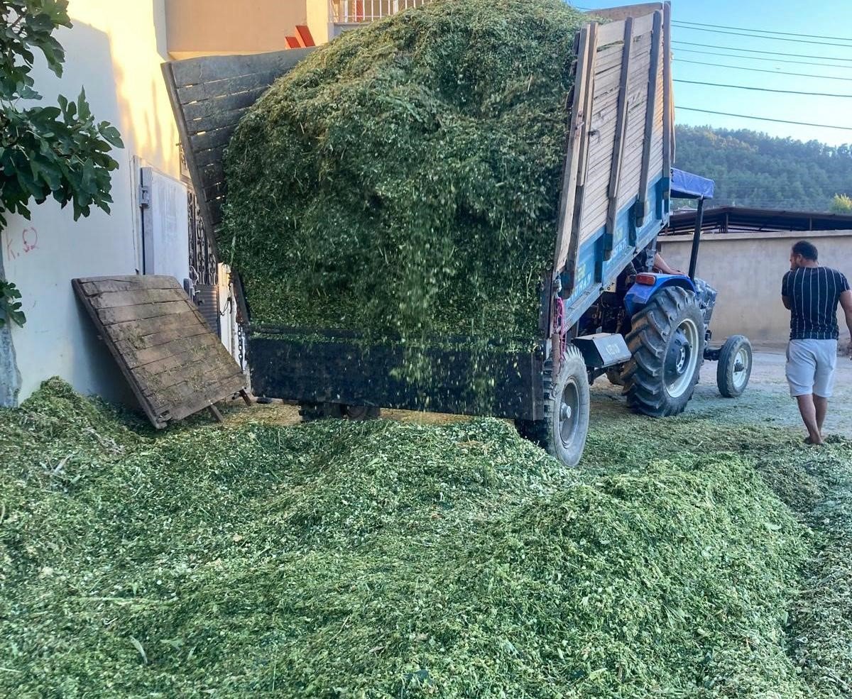 besiciler-misir-slaj-yem-yapimina-basladi