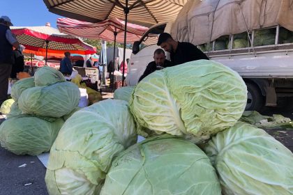 erzincanda-tursuluk-ve-yemeklik-lahanalar-tezgahta-yerini-aldi