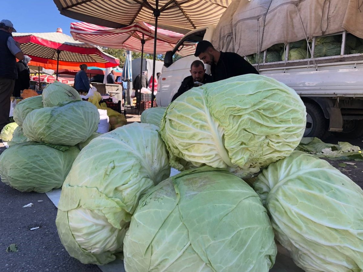 erzincanda-tursuluk-ve-yemeklik-lahanalar-tezgahta-yerini-aldi