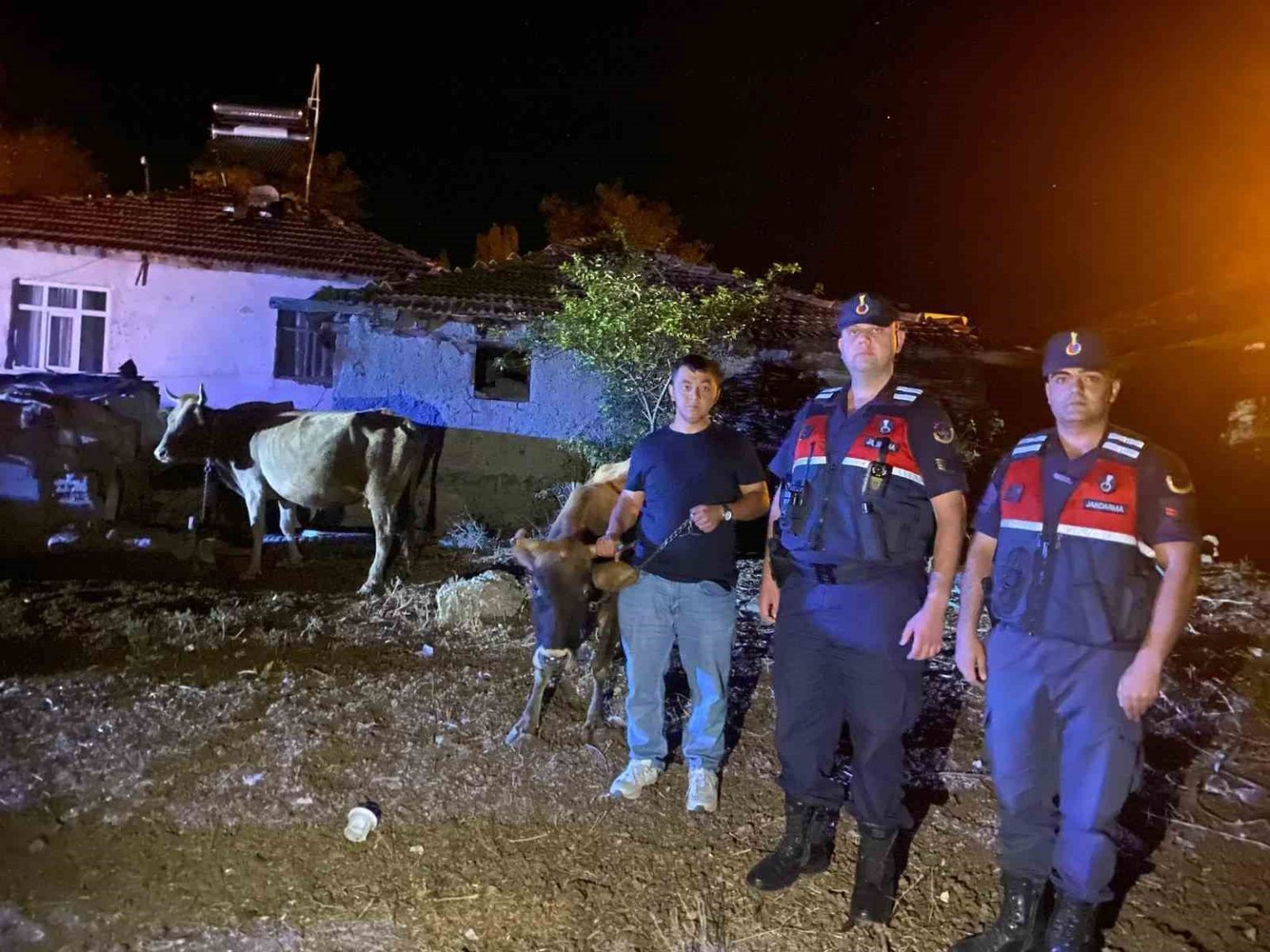 hayvanlari-kaybolan-ciftcinin-imdadina-jandarma-ekipleri-yetisti