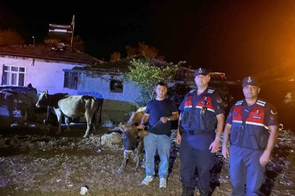 hayvanlari-kaybolan-ciftcinin-imdadina-jandarma-ekipleri-yetisti