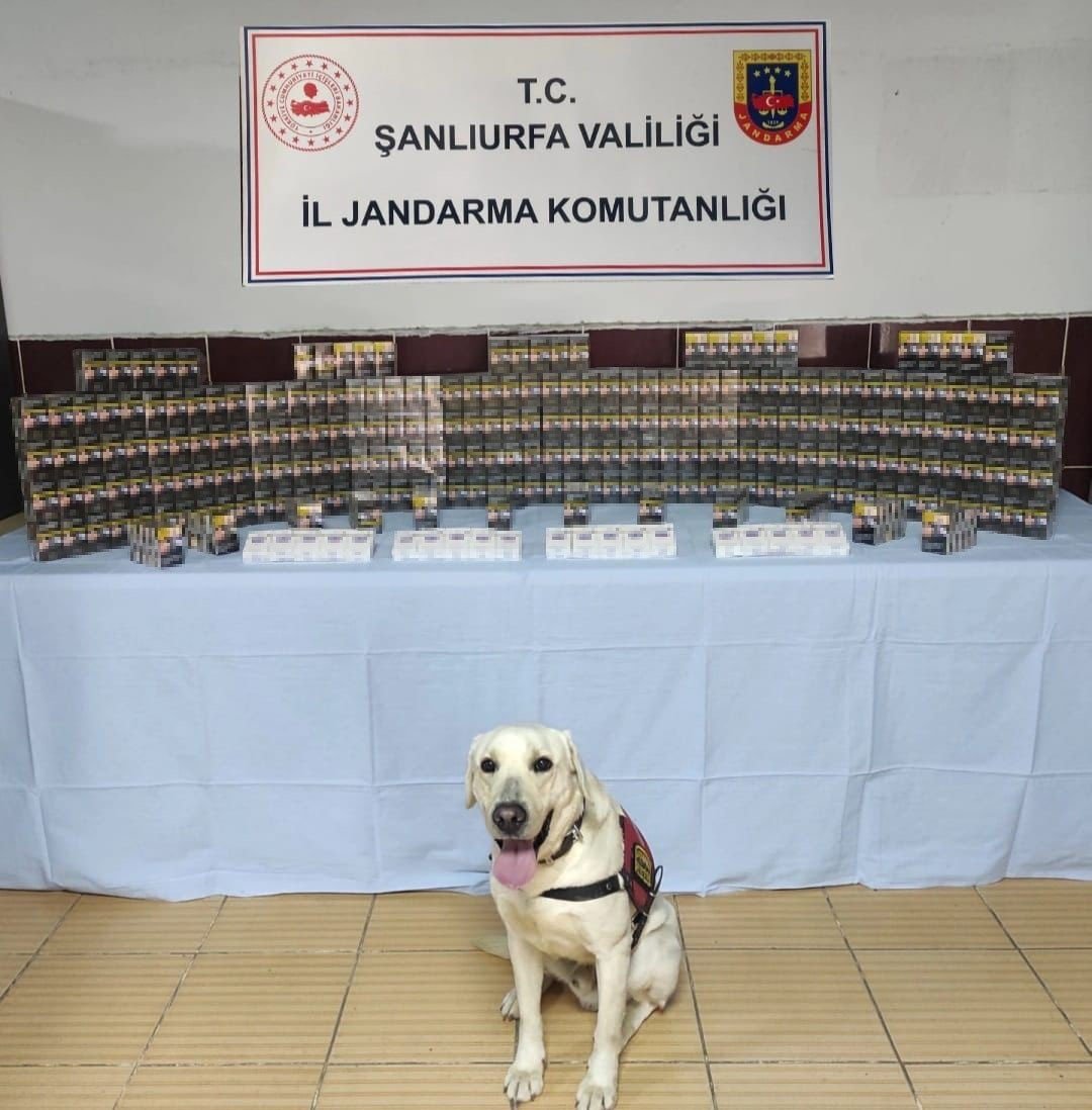jandarma-bin-320-paket-kacak-sigara-ele-gecirdi